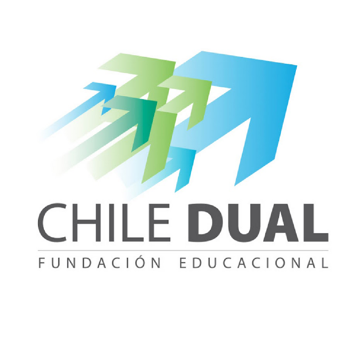 FUNDACIÓN EDUCACIONAL CHILE DUAL
